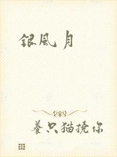 银风月
