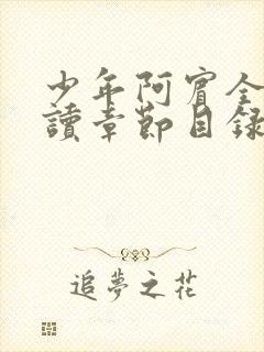 少年阿宾全文阅读章节目录