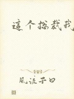 这个总裁我要了