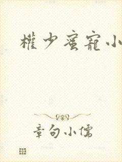 权少蜜宠小娇妻