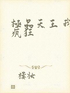 极品天王 我本疯狂