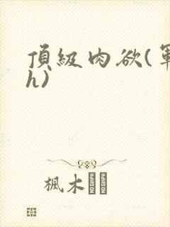 顶级肉欲(军高h)