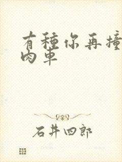 有种你再撞一下肉车