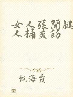 女人张开腿让男人桶爽的