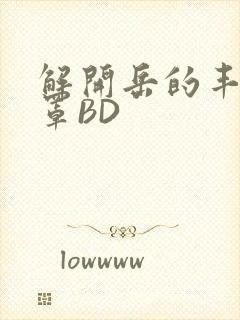 解开岳的丰满奶罩BD