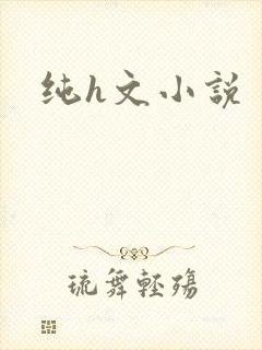 纯h文小说