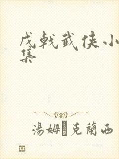 戊戟武侠小说全集