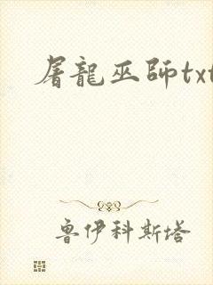 屠龙巫师txt