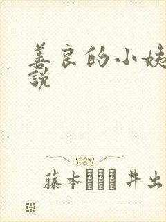 善良的小姨子小说