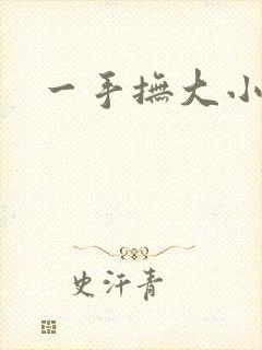 一手抚大小说