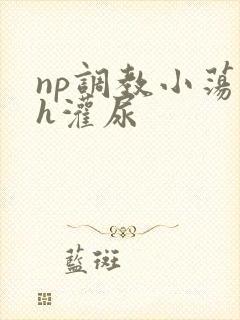 np调教小荡货h灌尿