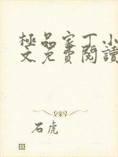 极品家丁小说全文免费阅读