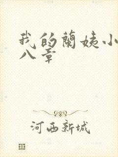 我的兰姨小说第八章