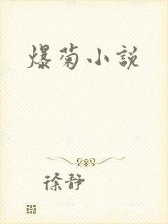 爆菊小说