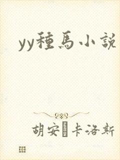 yy种马小说
