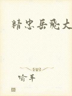 精忠岳飞大结局