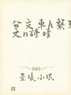 公交车h系列辣文n诗晴