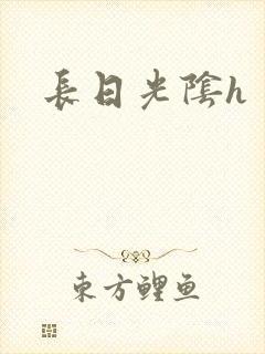 长日光阴h