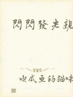 闪闪发光亲情会