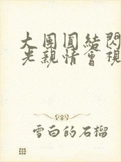 大团圆结闪闪发光亲情会视频