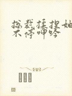 总裁揉捏她两乳不停呻吟