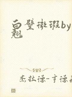 白璧微瑕by连翘