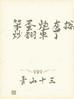 笨蛋炮灰总被爆炒翻车了