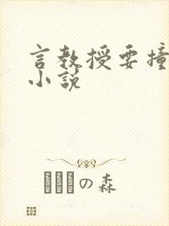 言教授要撞坏了小说