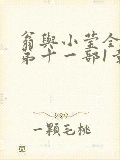 翁与小莹全目录第十一部1章