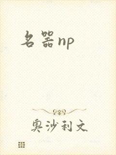 名器np