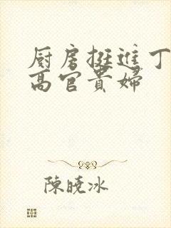 厨房挺进丁字裤高官贵妇