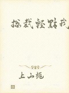 总裁轻点我怕疼