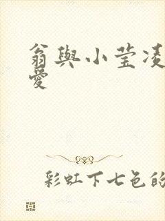 翁与小莹凌晨欢爱