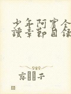 少年阿宾全文阅读章节目录