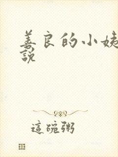 善良的小姨子小说
