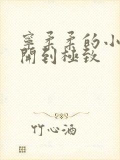 宁柔柔的小泬撑开到极致