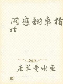 网恋翻车指南txt