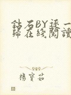 钻石BY逐一而归在线阅读