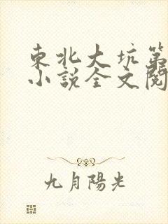 东北大坑第二部小说全文阅读