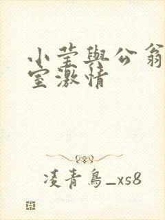 小莹与公翁办公室激情