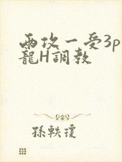 两攻一受3p双龙H调教