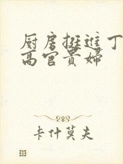 厨房挺进丁字裤高官贵妇