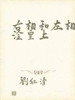 右相和左相一起淦皇上