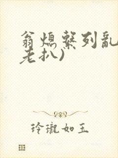 翁熄系列乱 (老扒)