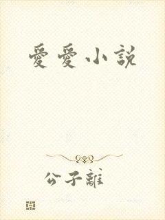 爱爱小说