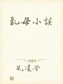 乱母小说