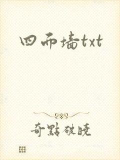 四面墙txt