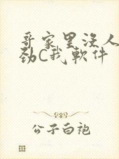 哥家里没人使点劲C我软件