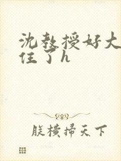沈教授好大含不住了h
