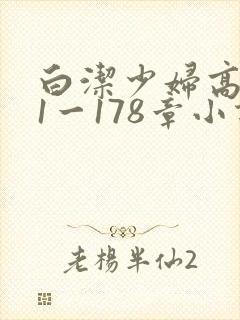 白洁少妇高义第1一178章小说